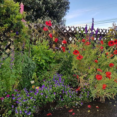 The Green House B&B Whitianga Exterior photo