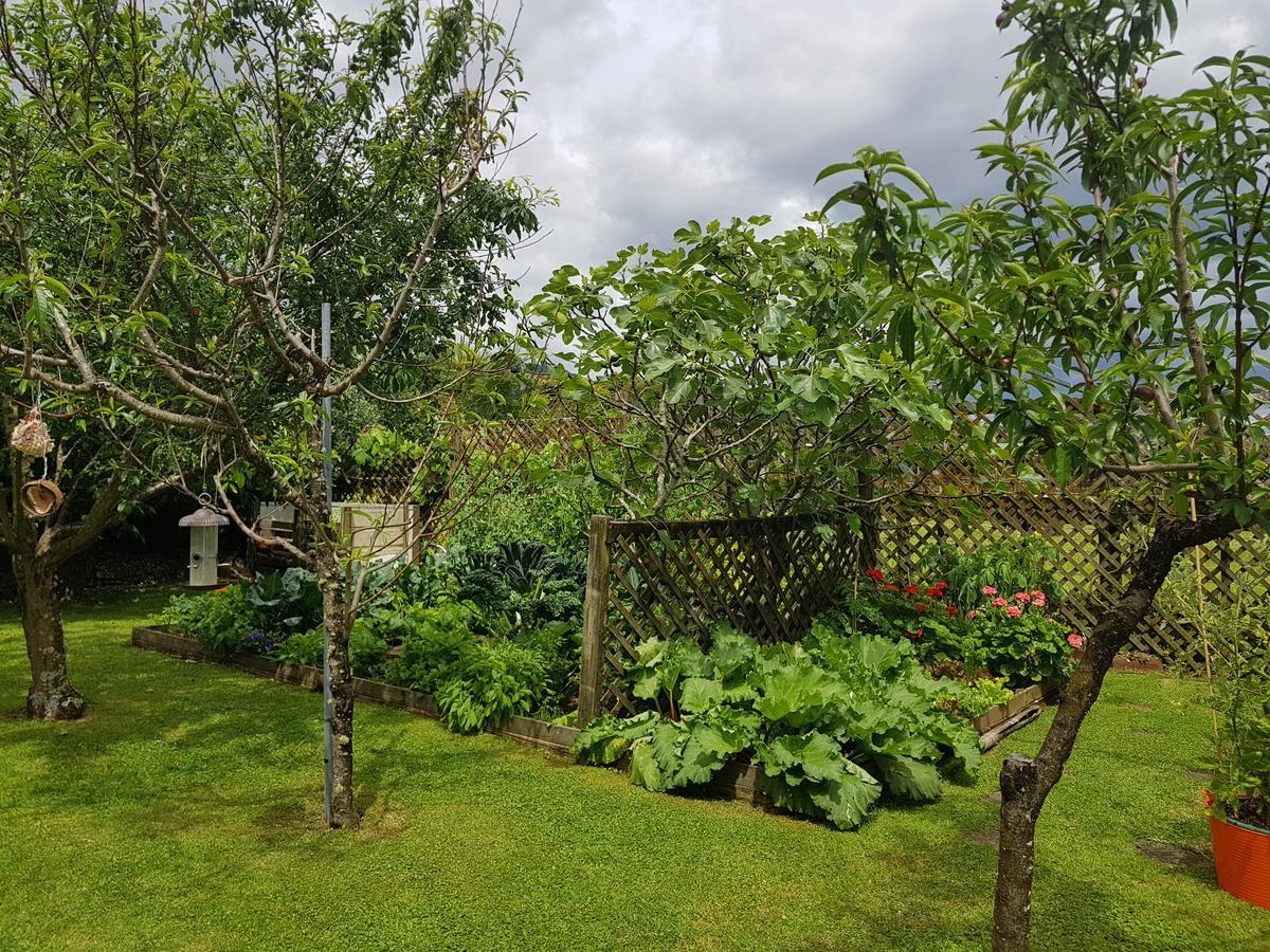 The Green House B&B Whitianga Exterior photo