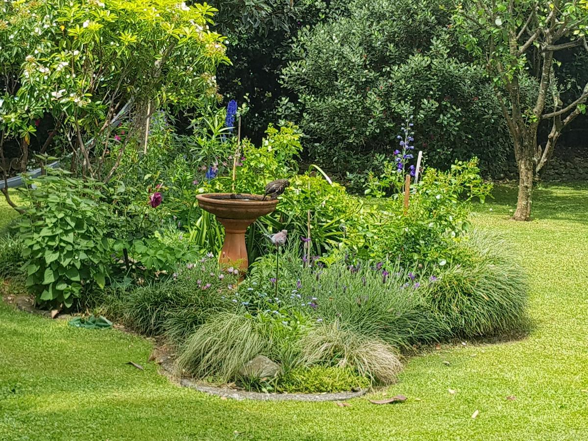 The Green House B&B Whitianga Exterior photo